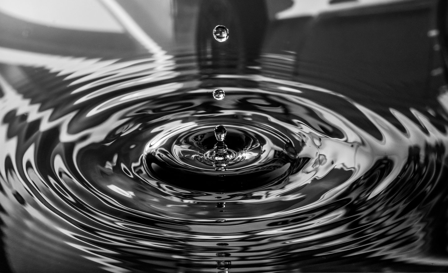 Water Droplets in Black and White